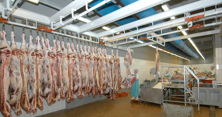 Дезинсекция на мясокомбинате в Путилково, цены на услуги